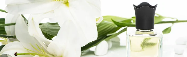 Home perfume in bottle near spa stones and lilies on white background, panoramic shot — Stock Photo