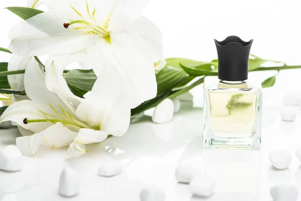 Casa perfume em garrafa perto de pedras de spa e lírios sobre fundo branco — Fotografia de Stock