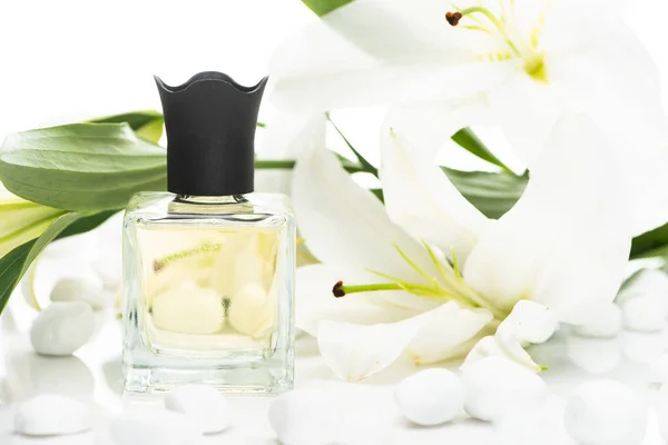 Perfume casero en botella cerca de piedras de spa y lirios sobre fondo blanco - foto de stock