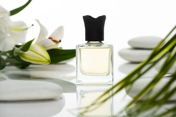 Foco selectivo de perfume cerca de piedras de spa y lirios aislados en blanco - foto de stock