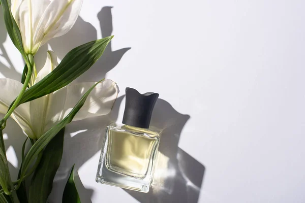 Vista superior del perfume casero en botella cerca de lirios sobre fondo blanco - foto de stock