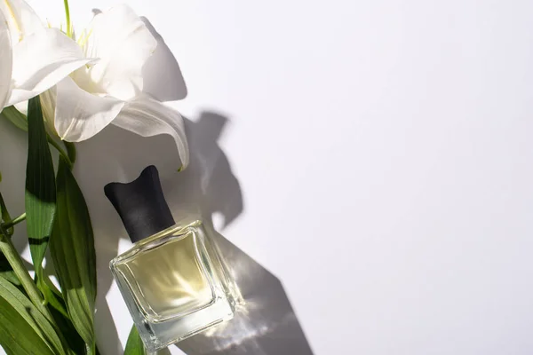 Top view of home perfume in bottle near lilies on white background — стоковое фото