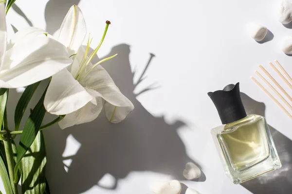 Top view of aroma sticks with perfume in bottle near stones and lily flower on white background — Stock Photo