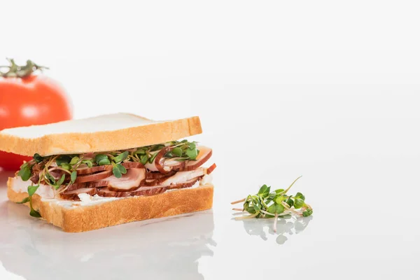 Selective focus of fresh delicious sandwich with meat and sprouts near tomato on white surface — Stock Photo