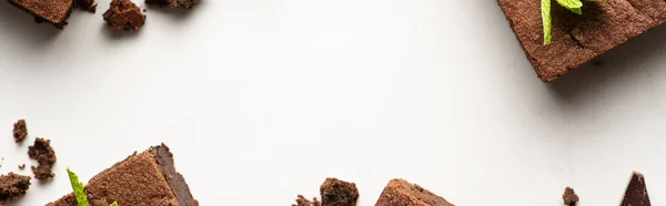 Vista dall'alto di deliziosi pezzi brownie con menta su sfondo bianco, colpo panoramico — Foto stock