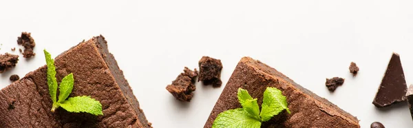 Vista superior de deliciosas piezas de brownie con menta y chocolate sobre fondo blanco, plano panorámico - foto de stock