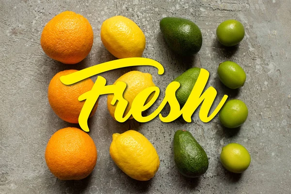 Posa piatta con arance colorate, avocado, lime e limoni su una superficie di cemento grigio, illustrazione fresca — Foto stock