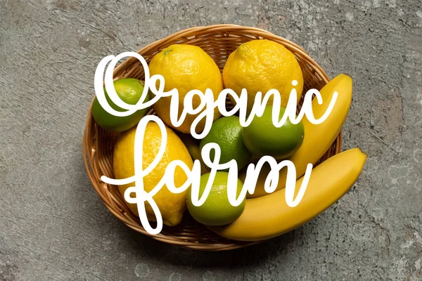 Vista dall'alto di banane colorate, lime e limoni in cesto di vimini su superficie di cemento grigio, illustrazione dell'azienda agricola biologica — Foto stock