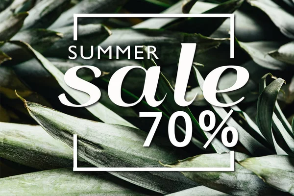 Close up view of green pineapple leaves with summer sale illustration — Stock Photo