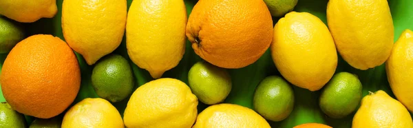 Top view of ripe lemons, oranges and limes, panoramic orientation — Stock Photo