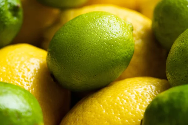 Vista ravvicinata di limoni freschi maturi e lime — Foto stock