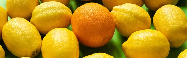 Limoni gialli freschi maturi e arancio su fondo verde, raccolto panoramico — Foto stock