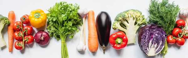 Draufsicht auf bunt sortiertes frisches Gemüse in Reihe auf weißem Hintergrund, Panoramaaufnahme — Stockfoto