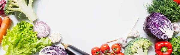 Cadre de légumes frais colorés assortis sur fond blanc, vue panoramique — Photo de stock