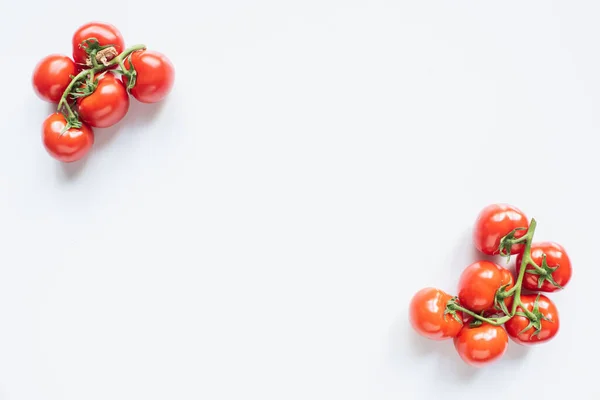 Top view of red ripe fresh tomatoes on branches on white background — Stock Photo