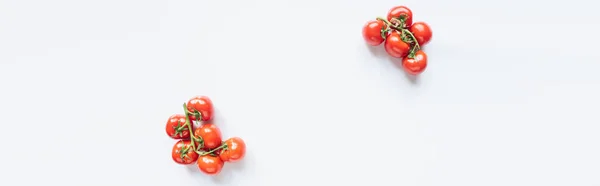 Vue de dessus des tomates fraîches mûres rouges sur des branches sur fond blanc, panoramique — Photo de stock