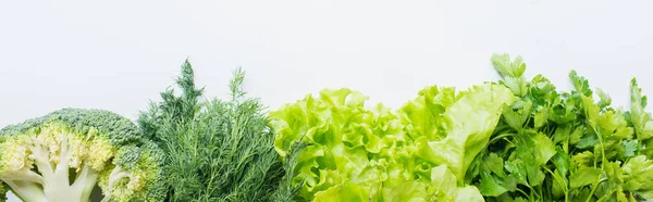 Border of fresh green parsley, dill, broccoli and lettuce isolated on white, panoramic shot — Stock Photo