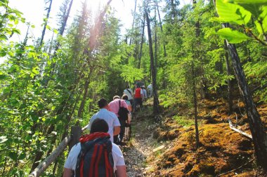 Turistler ağaçların arasında dağ yolu tırmanmak