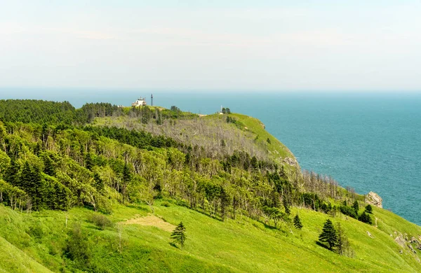 Yeşil sahil ve mavi deniz. Tatar Boğazı