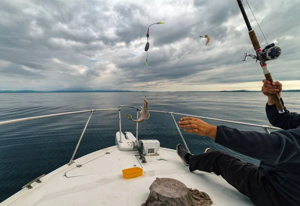 Pescador Barco Atrapado Platija Imagen de stock