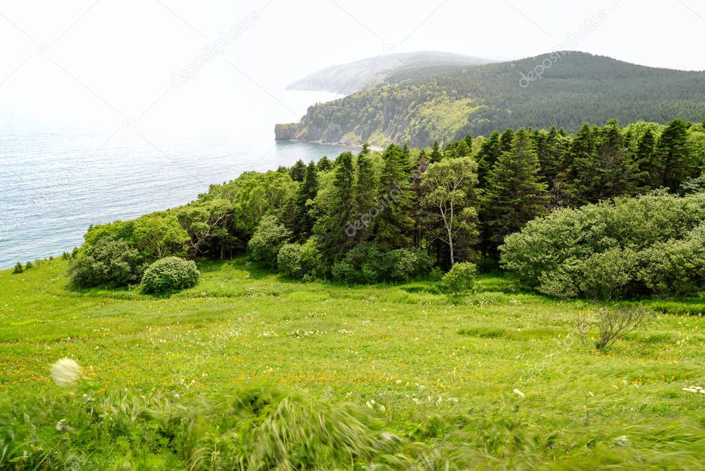 Green coast and blue sea. Tatar Strait