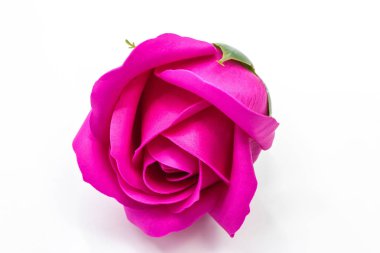 Beyaz arka plan üzerinde koyu kırmızı gül çiçek