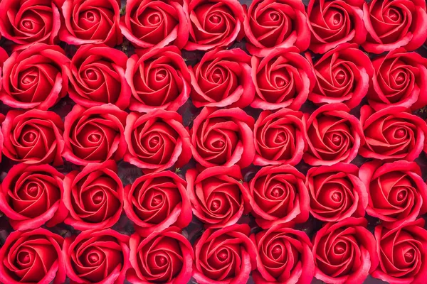 Rote Rose Blumen Hintergrund — Stockfoto