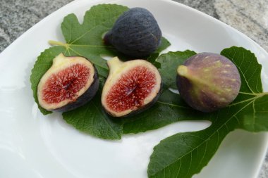 Büyük pembe ortancalar - yakın plan