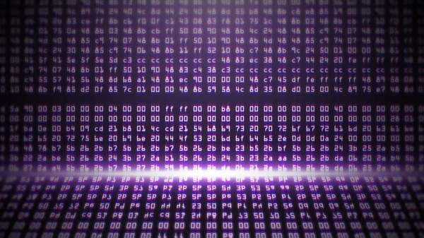 紫色の 16 進コードをプログラミング — ストック写真