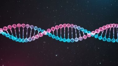Bicolor Dna zinciri döngü