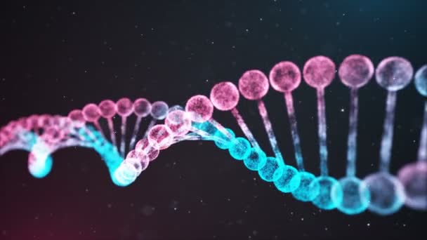Tvåfärgad DNA kedje slinga — Stockvideo