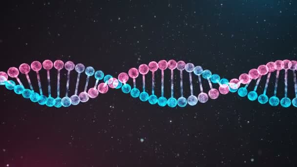 Loop de cadeia de DNA BiColor — Vídeo de Stock