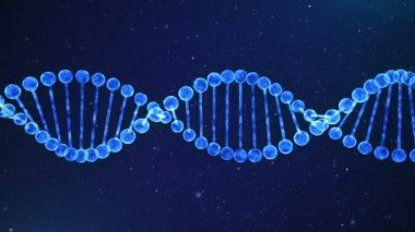 Mavi Dna zinciri döngü