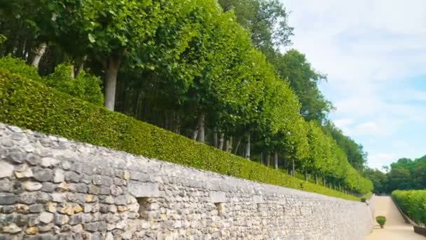 卢瓦尔河谷, 法国-2018年8月: 维拉德里城堡, 卢瓦尔河谷, 法国-美丽的花园在所有法国 — 图库视频影像