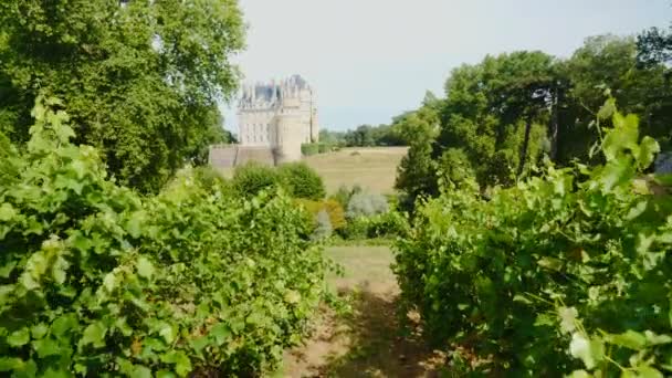 Chateau de Brissac en el Valle del Loira de Francia — Vídeo de stock