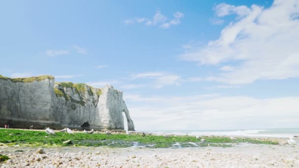 Etretat, Normandy, Fransa deniz kıyısında, alarak martılar — Stok video