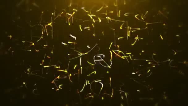 Golden Spinning Particles Boucle Uhd Sec Long — Video