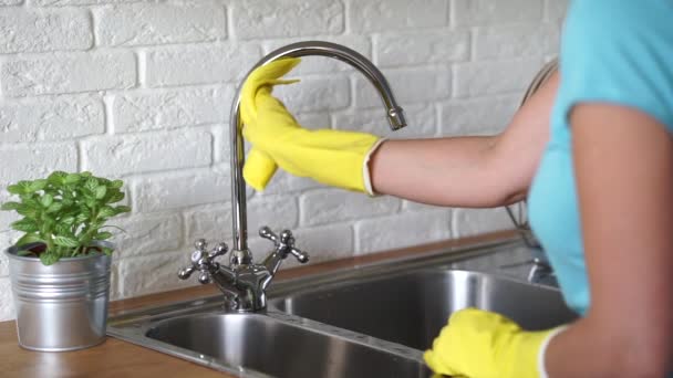 Mulher limpa superfícies de cozinha — Vídeo de Stock