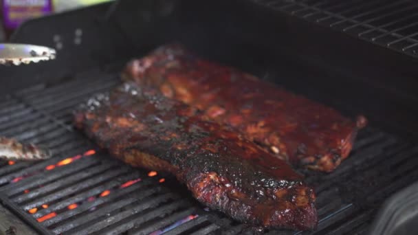 Varkensvlees barbecue ribben op vuur — Stockvideo