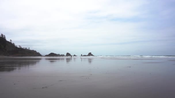 Океан с видом на скалы в Орегоне — стоковое видео