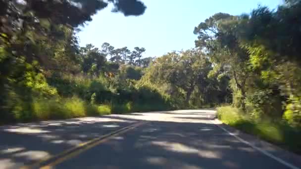 Водіння автомобіля на дорозі — стокове відео