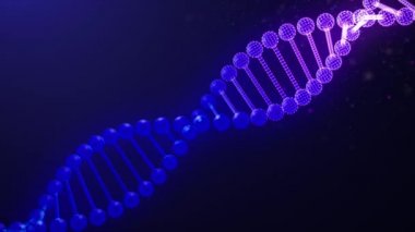 DNA Zinciri Sonsuz Döngüsünü Tara