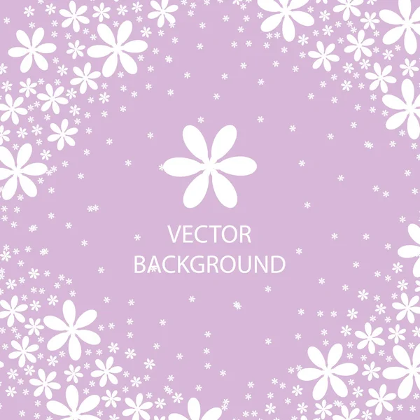 Vektorový Pozadí Bílé Květy Lila Barvy Royalty Free Stock Vektory