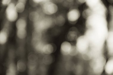 Beyaz sarı ve siyah bulanık bokeh arkaplan