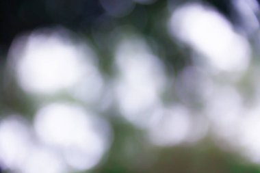 Beyaz sarı ve siyah bulanık bokeh arkaplan