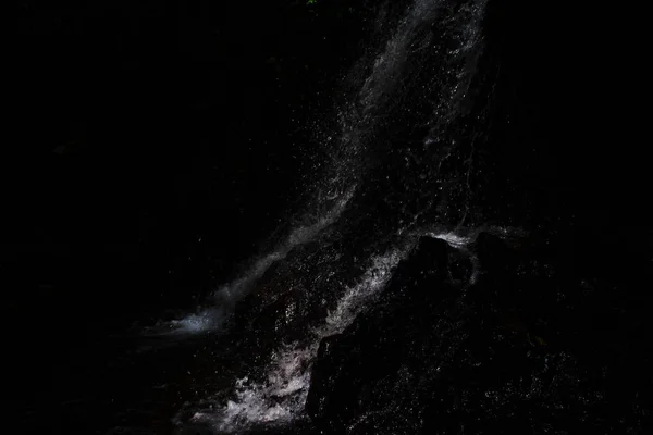 Ormanda taşın üzerine düşen su siyah arka planda