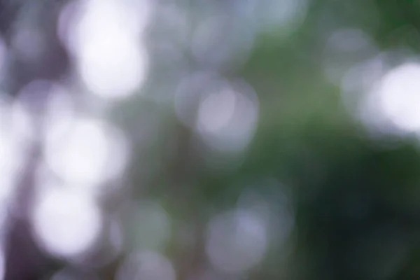 Beyaz sarı ve siyah bulanık bokeh arkaplan