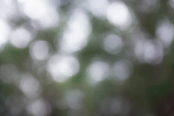 Beyaz sarı ve siyah bulanık bokeh arkaplan