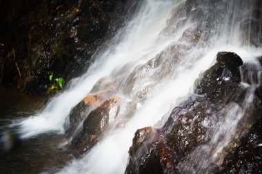 Ormanda taşın üzerine düşen su siyah arka planda