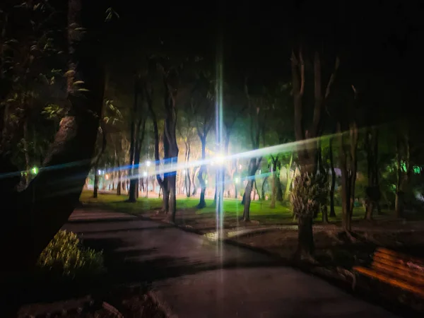 Rozmazané světlo v parku v noci v parku — Stock fotografie